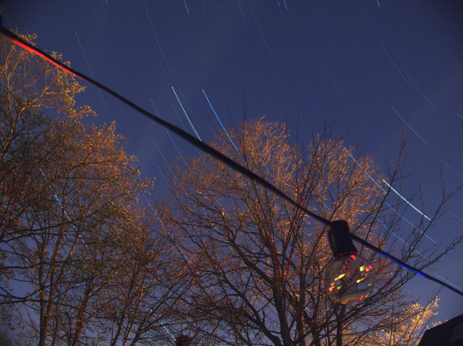 Star trails over trees in an urban backyard